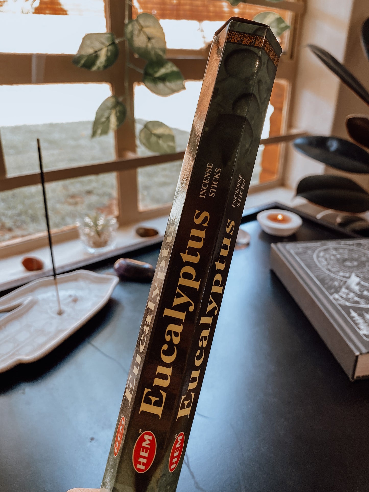 🌿 Eucalyptus Incense